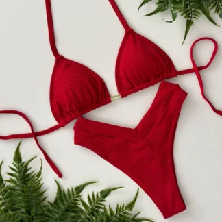 Biquíni Top Cortininha Calcinha LIPO Asa Delta de Cós Cintura Alta PROMOÇÃO